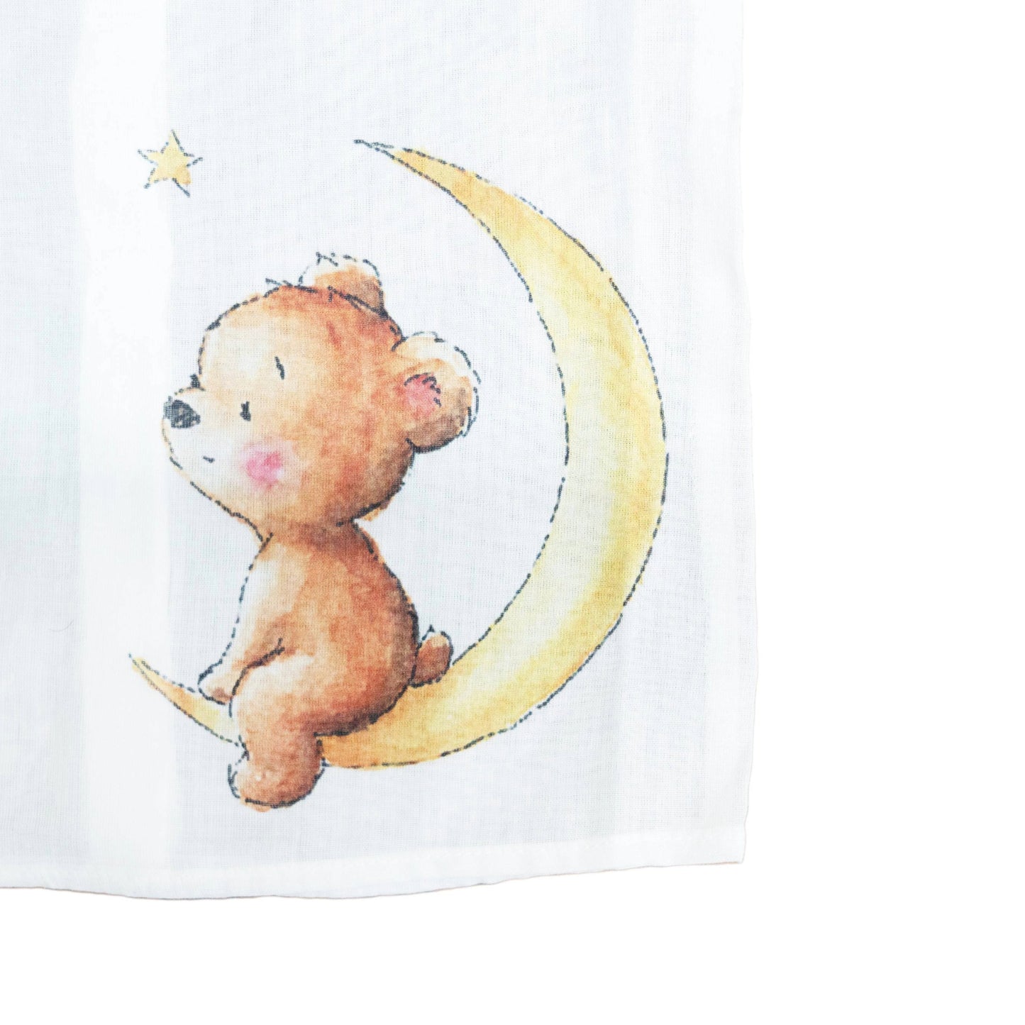 teddy on moon