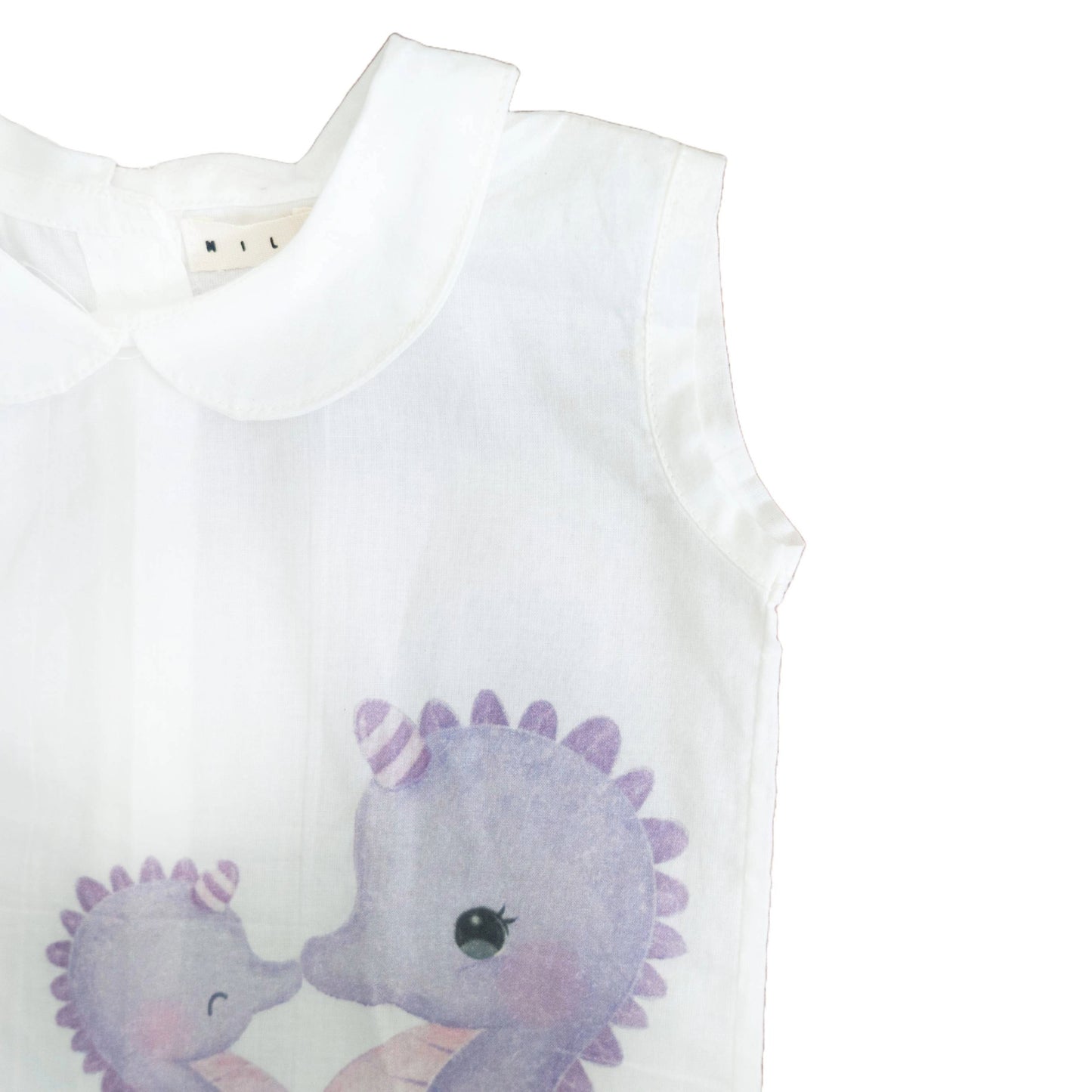 seahorse design for boys
