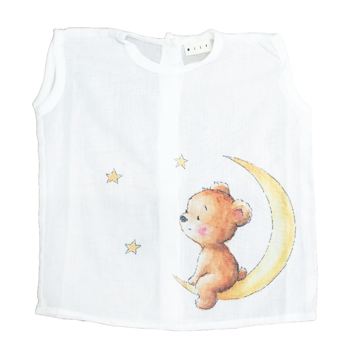 teddy on moon